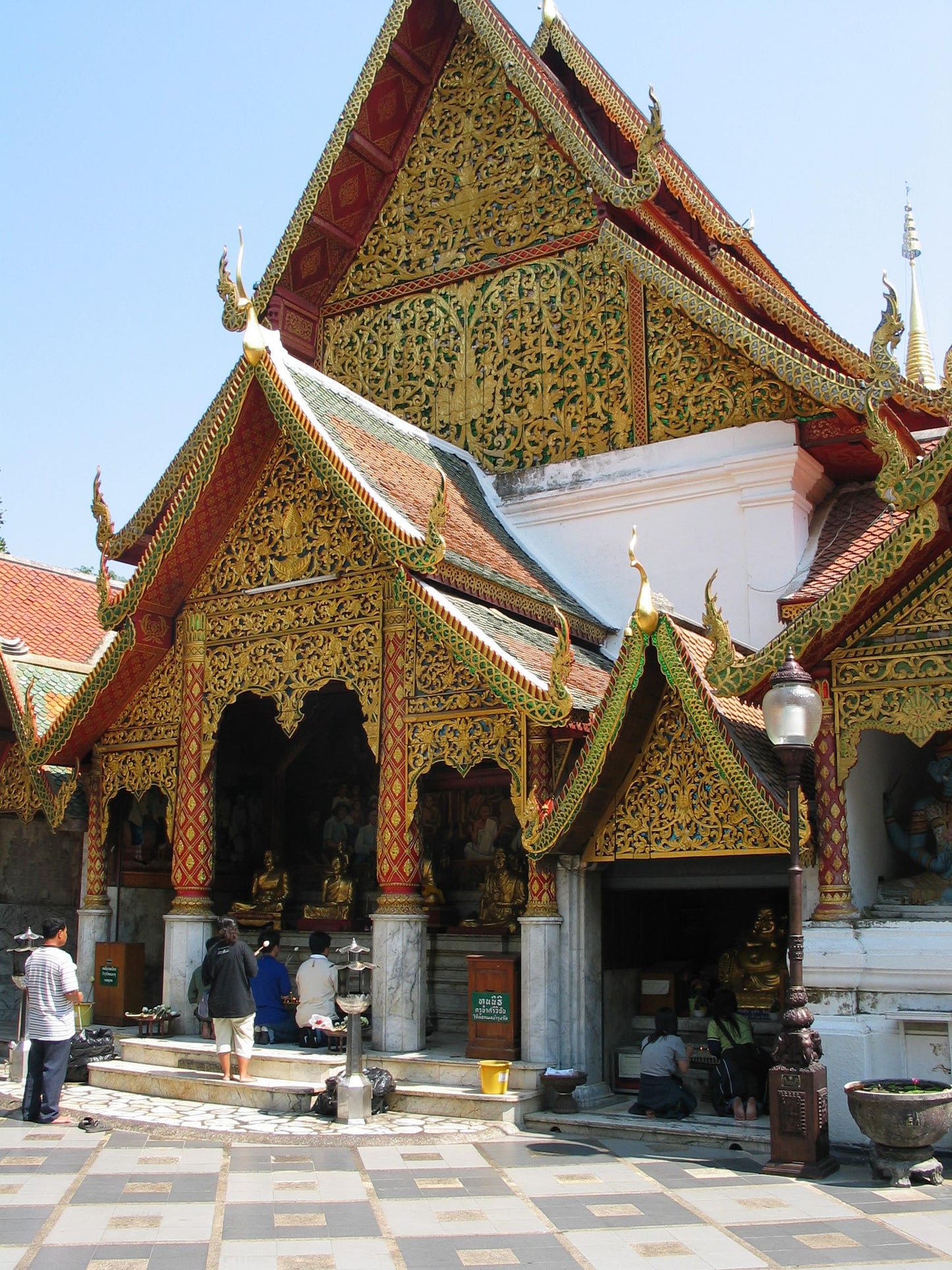 Doi Suthep National Park Mini  Downhill Leisure Bike Adventure, ½ day  Guided and Self Guided