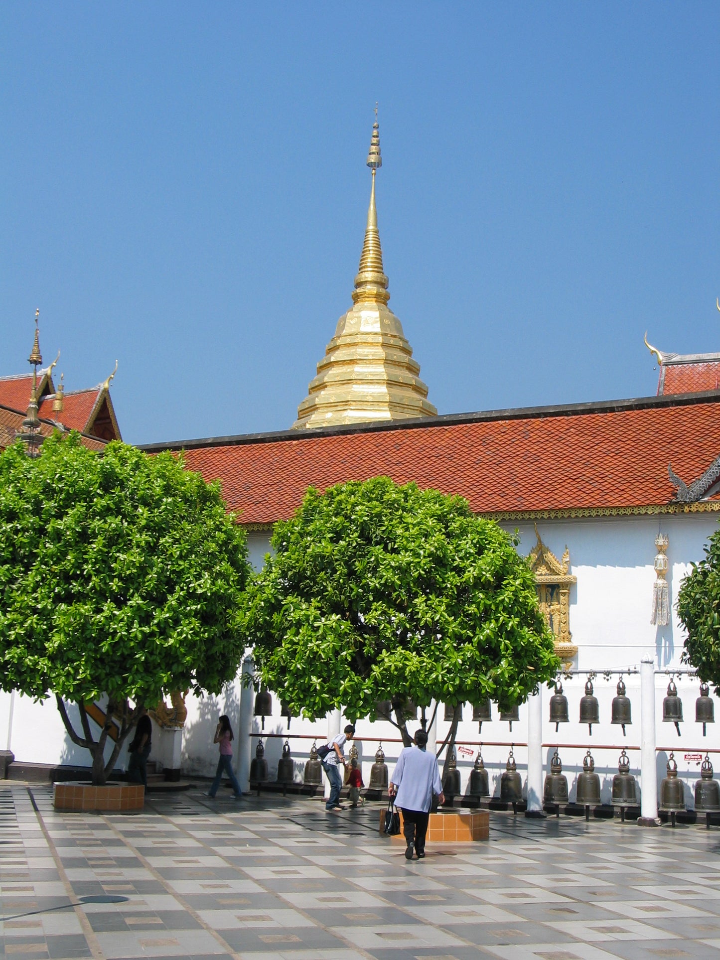 Doi Suthep National Park Mini  Downhill Leisure Bike Adventure, ½ day  Guided and Self Guided