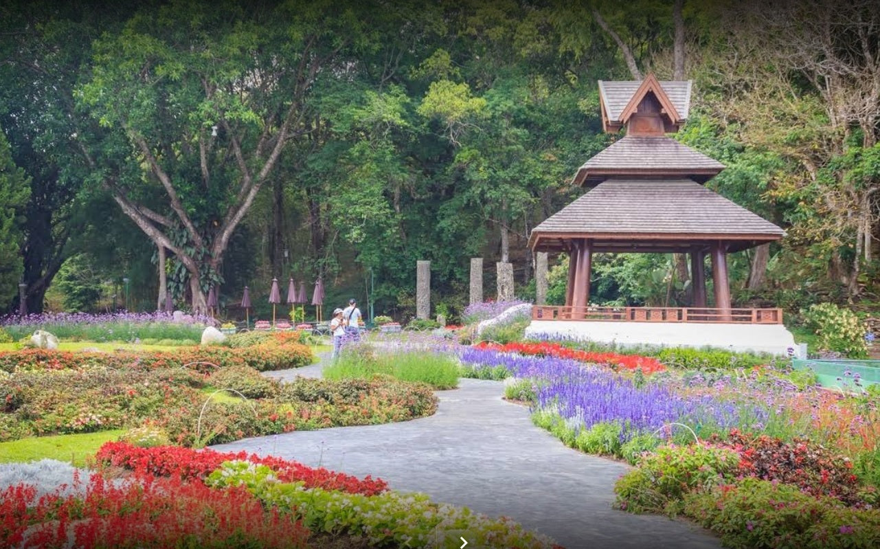 Doi Suthep National Park Mini  Downhill Leisure Bike Adventure, ½ day  Guided and Self Guided