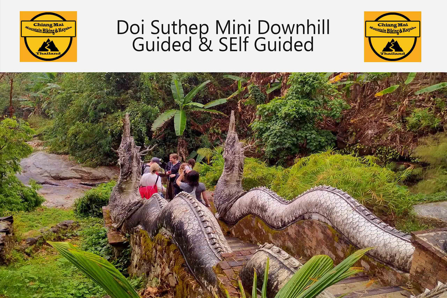 Doi Suthep National Park Mini  Downhill Leisure Bike Adventure, ½ day  Guided and Self Guided