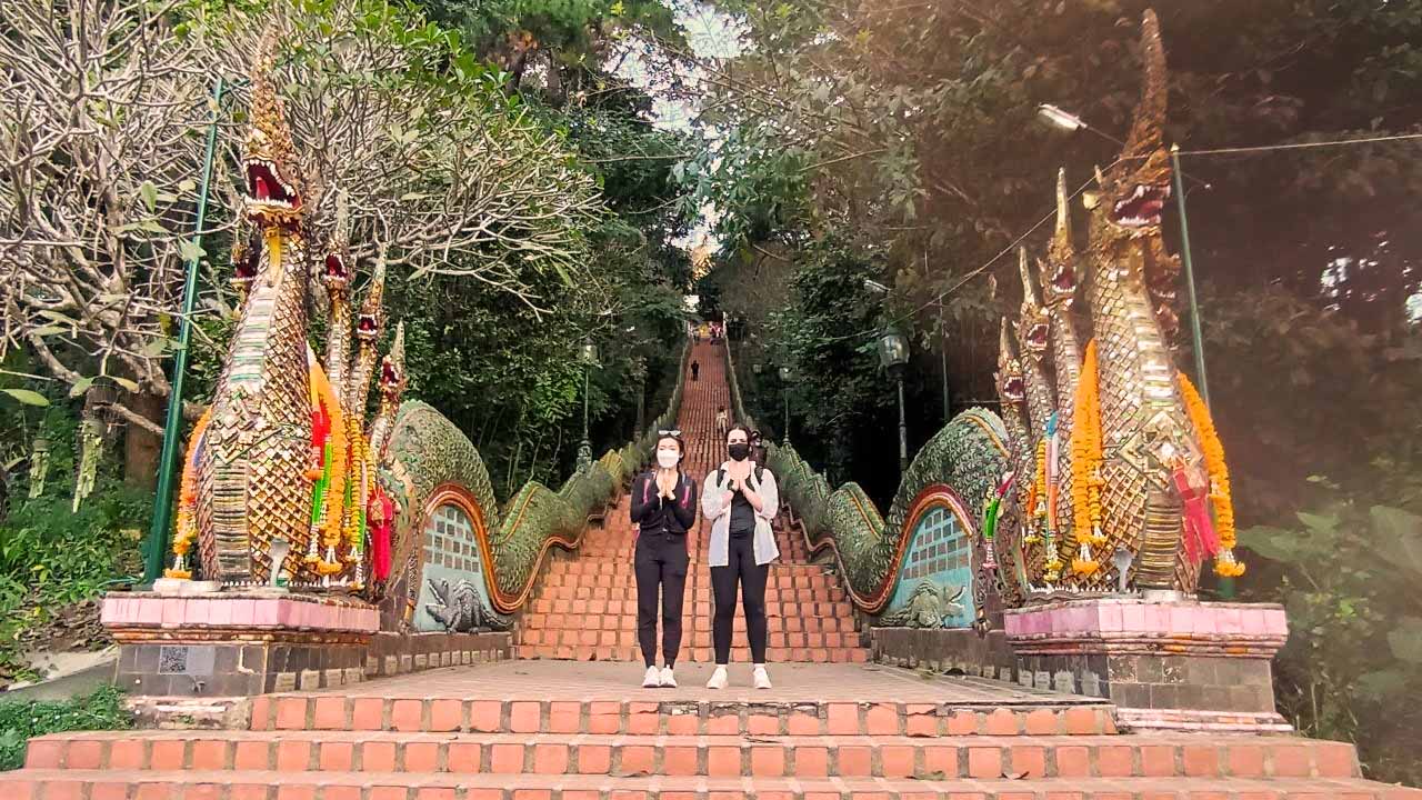 Doi Suthep National Park Mini  Downhill Leisure Bike Adventure, ½ day  Guided and Self Guided