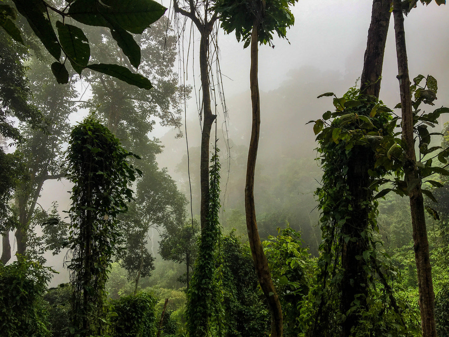HIKE # T 3 2-DAY HIKE ADVENTURE, DOI SUTHEP 5700฿