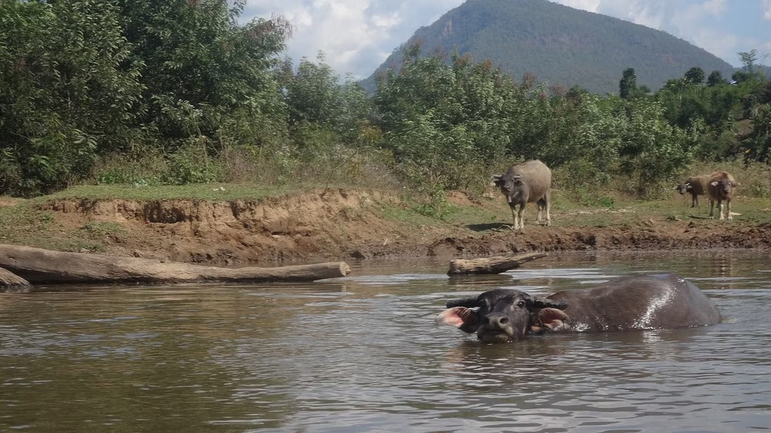 2 Days Upper Jungle Mae Taeng River Adventure "F2"    12500฿