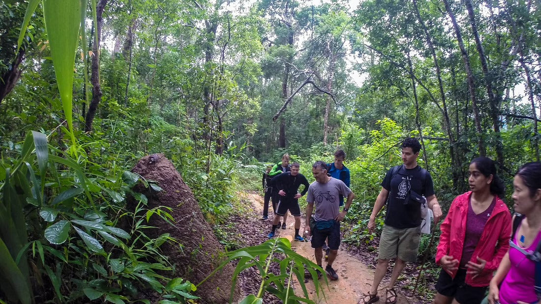 Hike & Bike Doi Suthep National Park #Trip "13 A"   2300฿