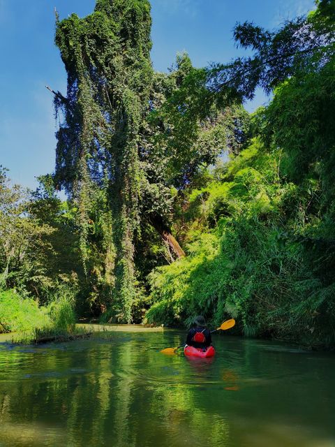 Chiang Dao Jungle Kayak Adventure "A"   2100฿