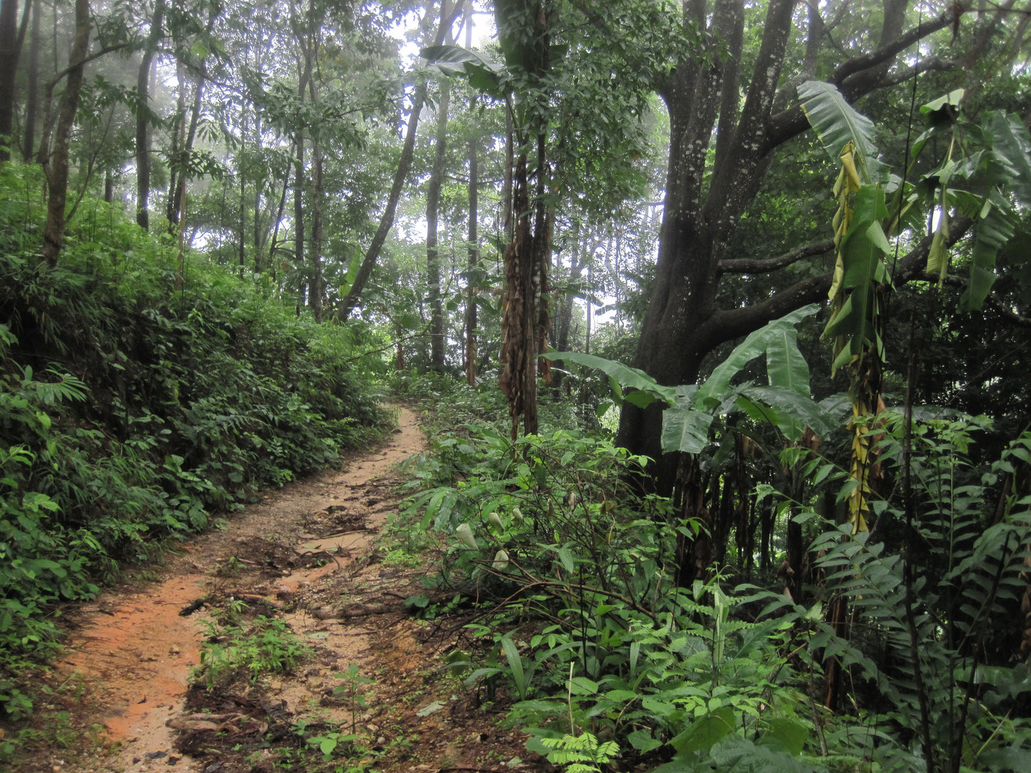 "BIKE 14" 2-Day "Highlanders Route" Doi Suthep National Park.   6500฿