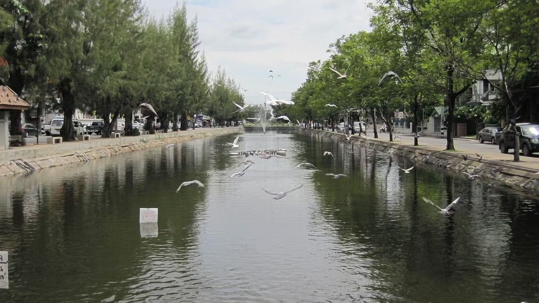 Historical Chiang Mai City Tour "7A"   1550฿