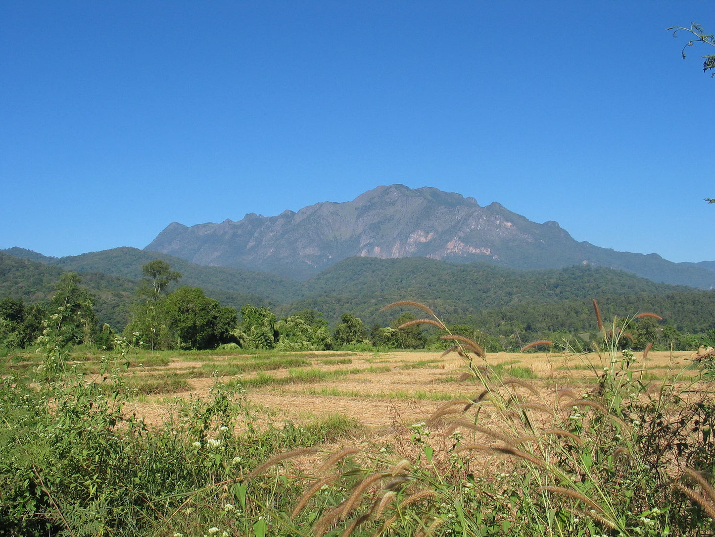 BIKE #15 2 DAY “HIMALAYAN 2”  6500฿