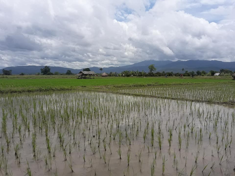 "7XC"  Road Ride, Mae Ngat Valley to Chiang Mai, 60 km.    1950฿