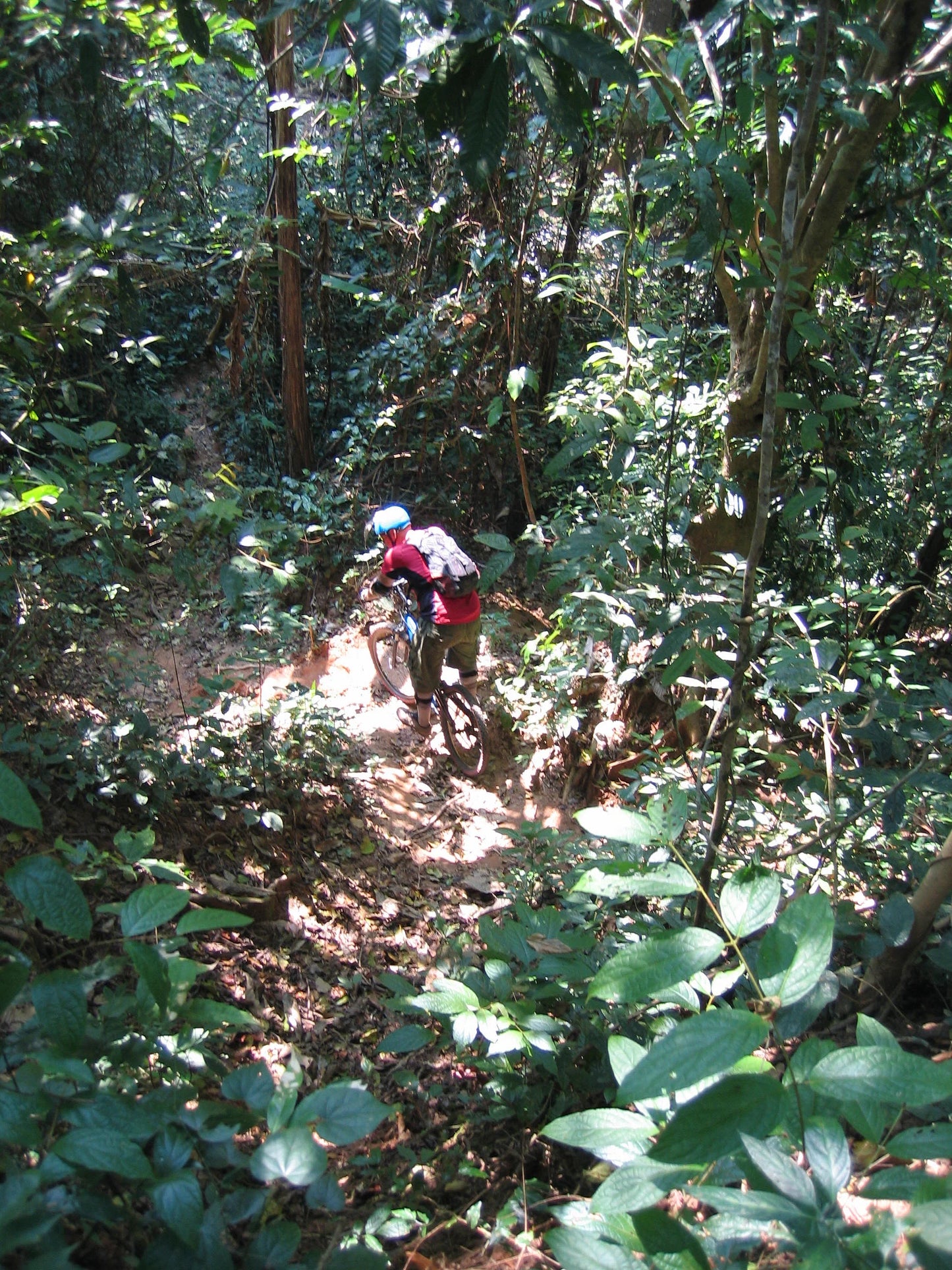 BIKE #15 2 DAY “HIMALAYAN 2”  6500฿