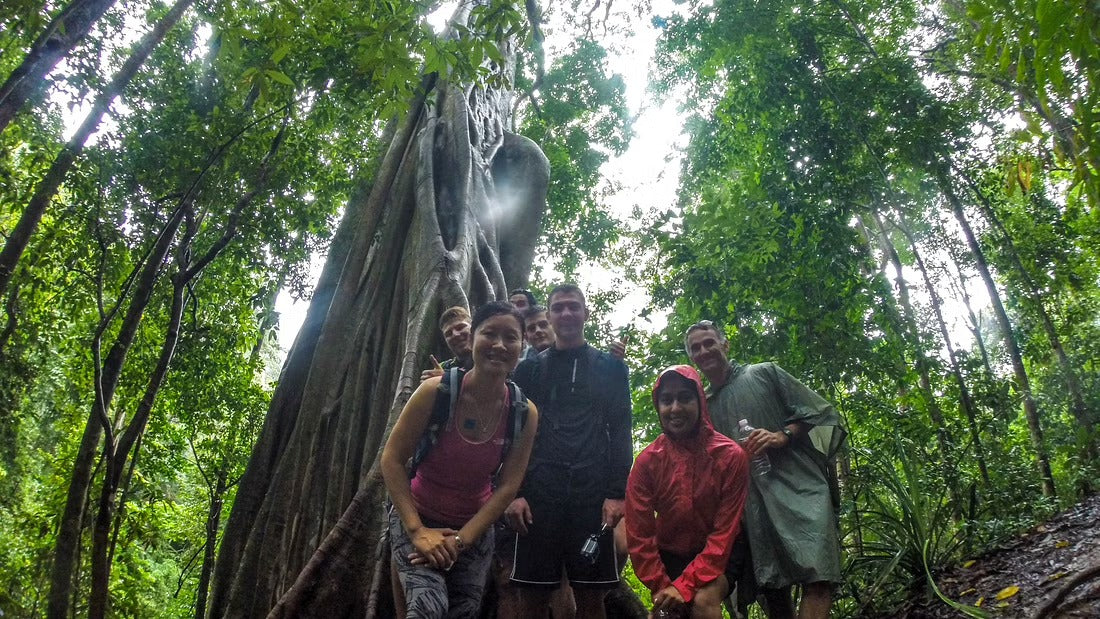 Hike & Bike Doi Suthep National Park #Trip "13 A"   2300฿