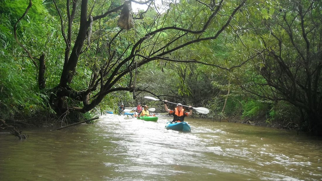 2 Days Mae Ping River Jungle and Valley Adventure "F"   7500฿