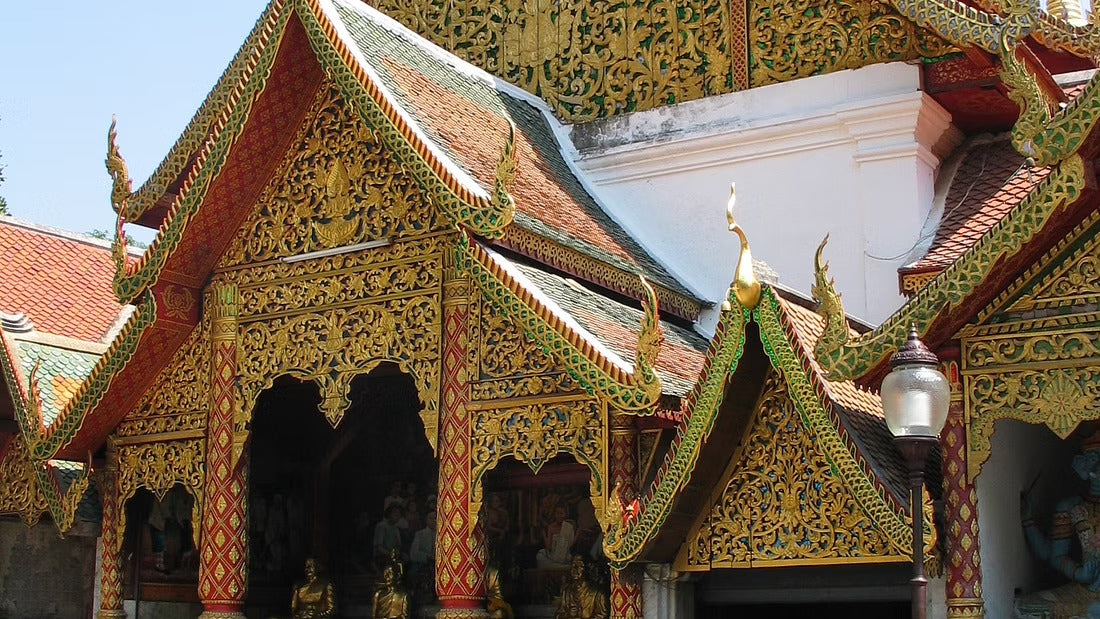 Hike & Bike Doi Suthep National Park #Trip "13 A"   2300฿