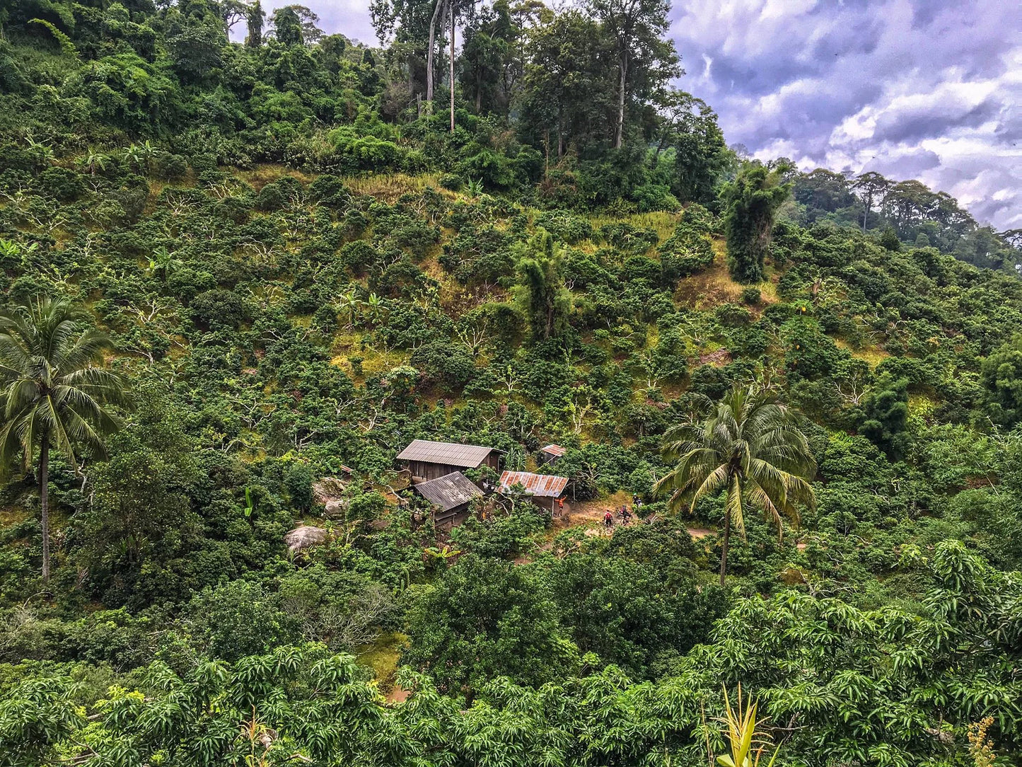 HIKE # T 3 2-DAY HIKE ADVENTURE, DOI SUTHEP 5700฿