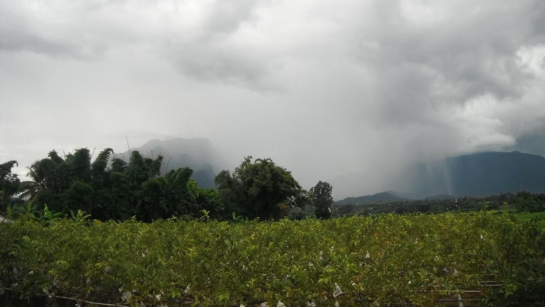 2 Days Mae Ping River Jungle and Valley Adventure "F"   7500฿