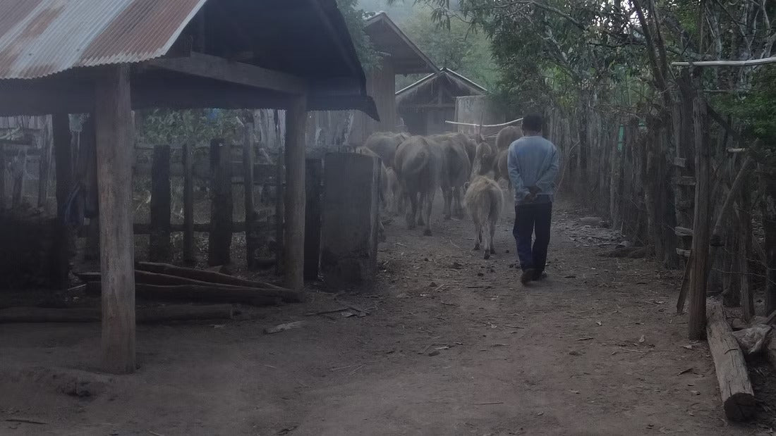 2 Days Upper Jungle Mae Taeng River Adventure "F2"    12500฿