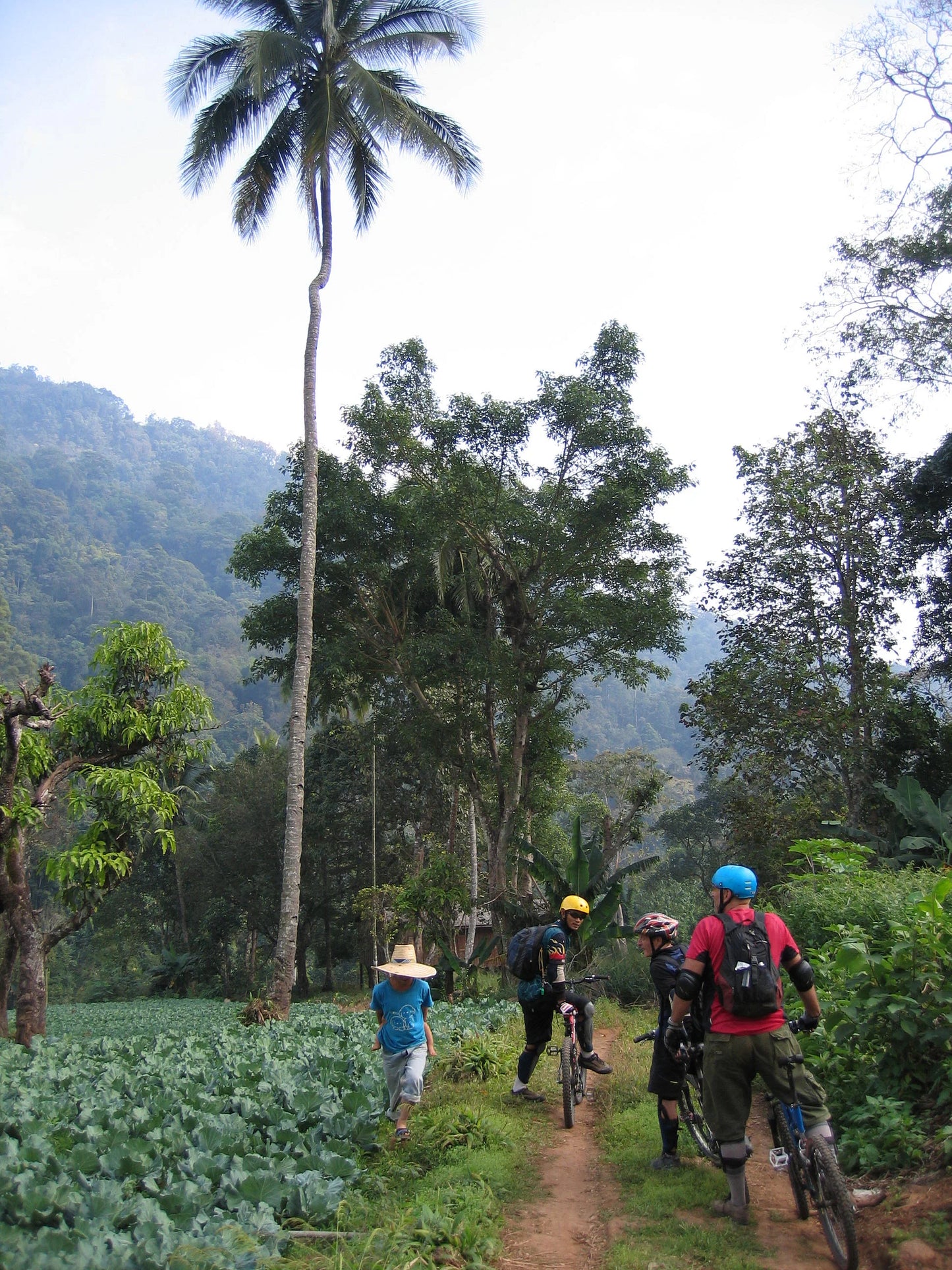 BIKE #15 2 DAY “HIMALAYAN 2”  6500฿