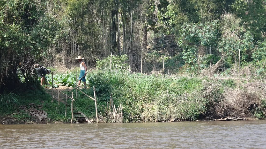 4 Days Mae Chaem River Jungle Adventure "F4" 25000฿