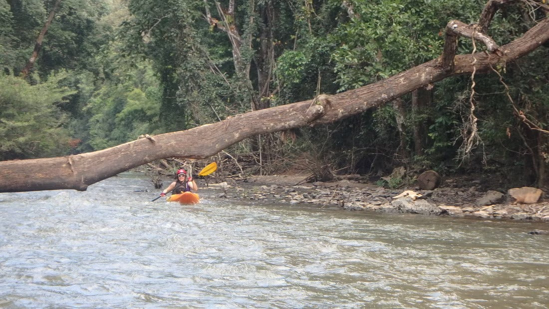 4 Days Mae Chaem River Jungle Adventure "F4" 25000฿