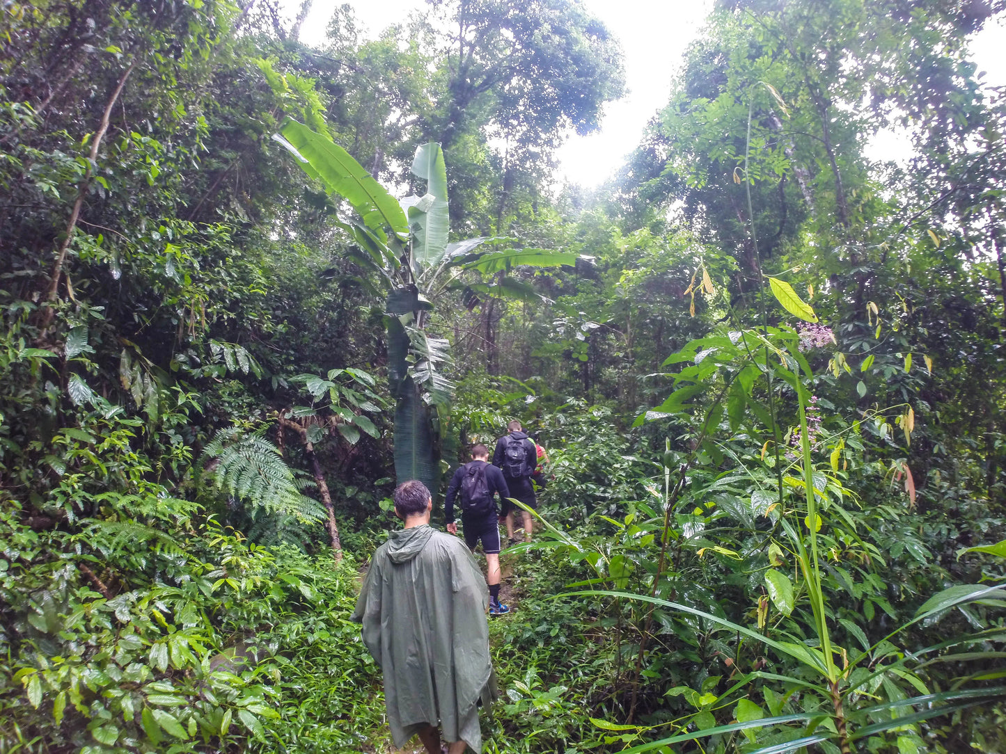 HIKE # T 3 2-DAY HIKE ADVENTURE, DOI SUTHEP 5700฿