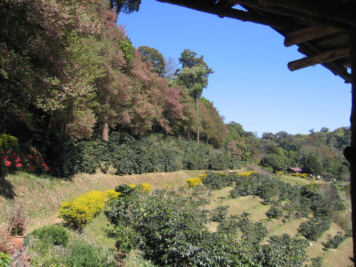 "BIKE 14" 2-Day "Highlanders Route" Doi Suthep National Park.   6500฿