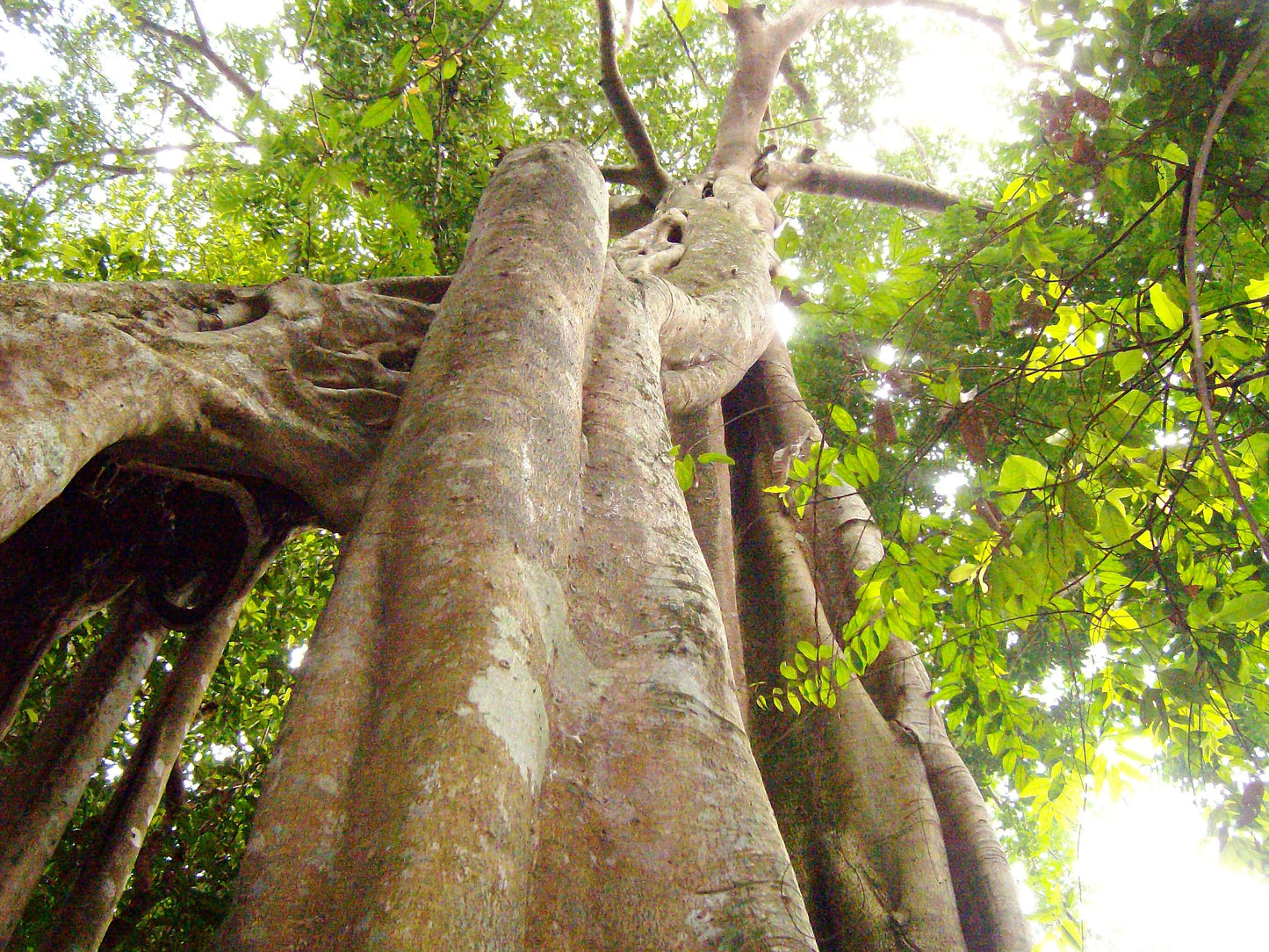 "BIKE 14" 2-Day "Highlanders Route" Doi Suthep National Park.   6500฿