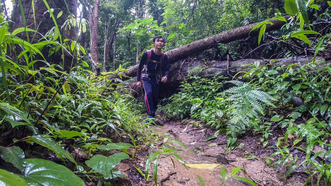 Hike & Bike Doi Suthep National Park #Trip "13 A"   2300฿