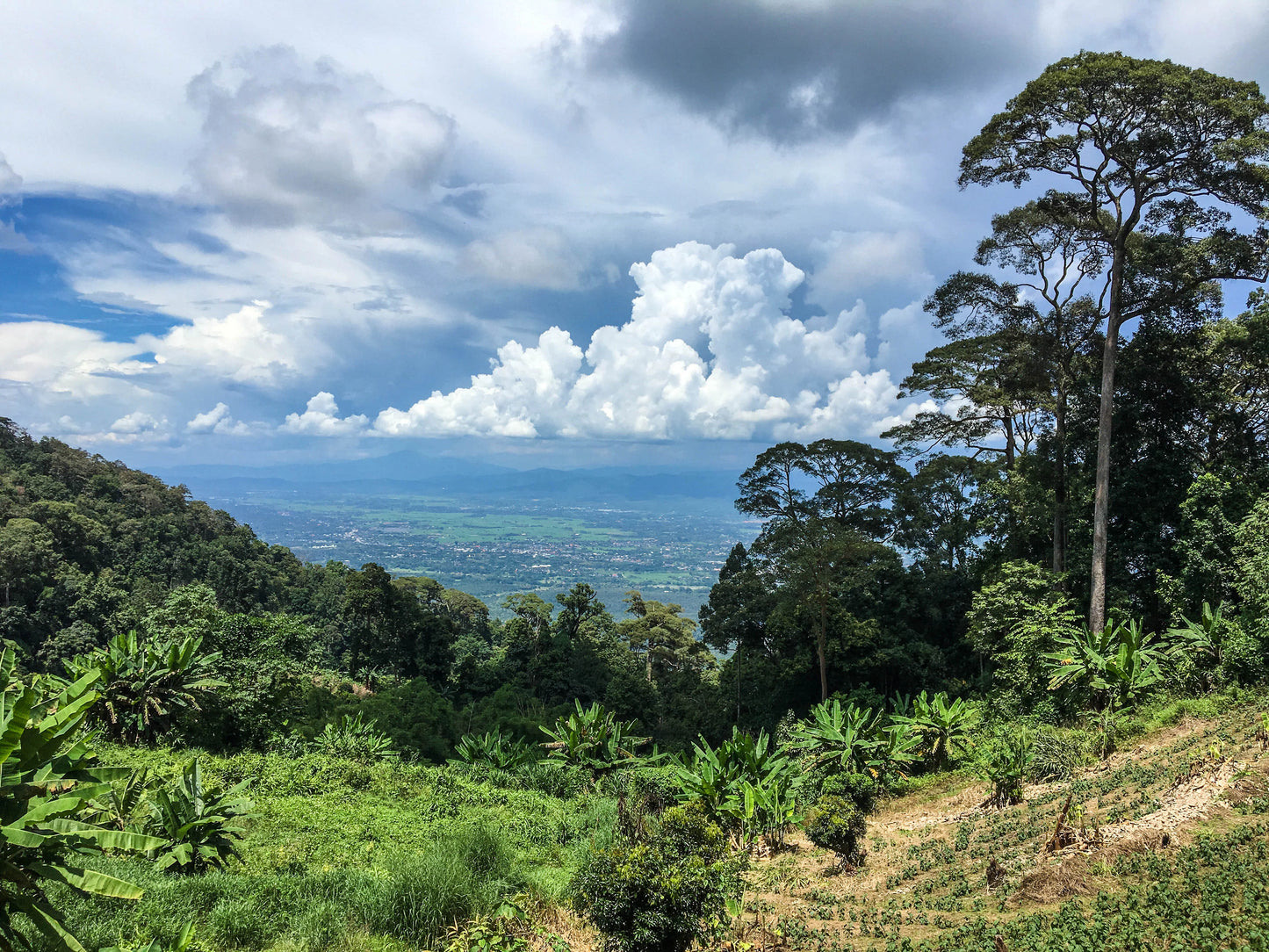 HIKE # T 3 2-DAY HIKE ADVENTURE, DOI SUTHEP 5700฿
