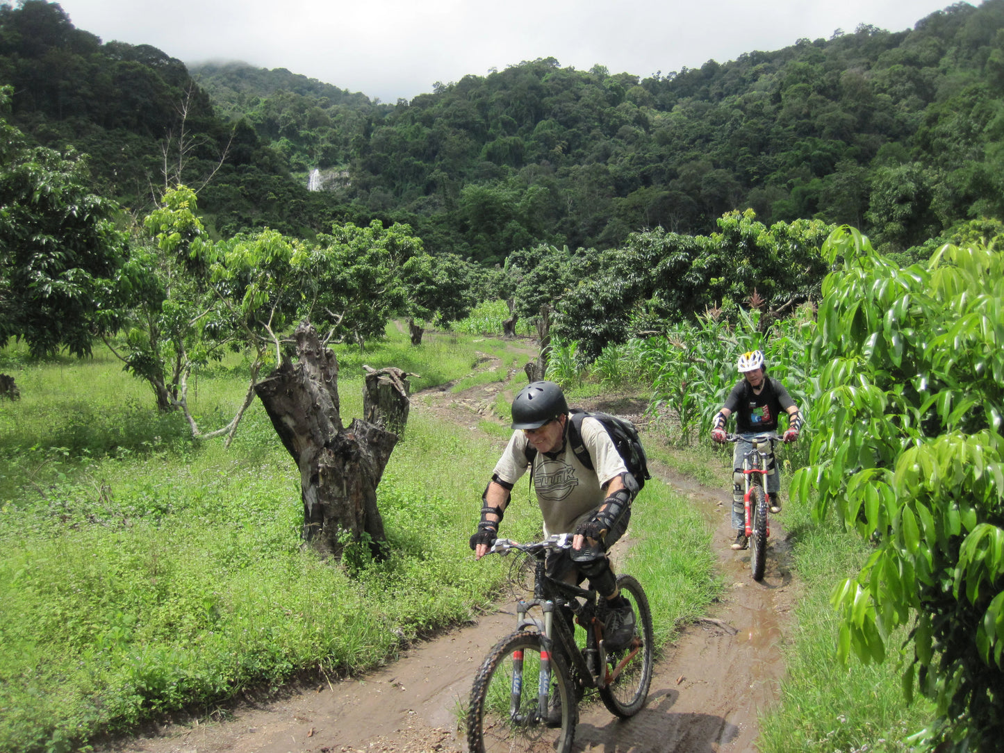 "BIKE 14" 2-Day "Highlanders Route" Doi Suthep National Park.   6500฿