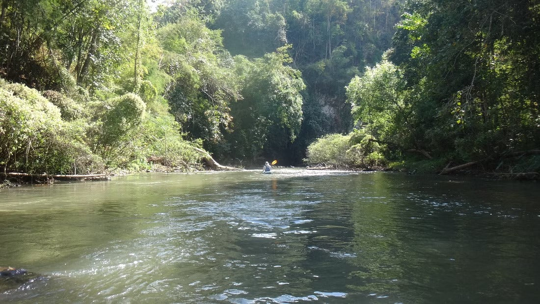 2 Days Upper Jungle Mae Taeng River Adventure "F2"    12500฿