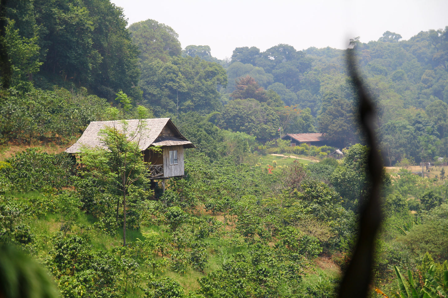 HIKE # T 3 2-DAY HIKE ADVENTURE, DOI SUTHEP 5700฿