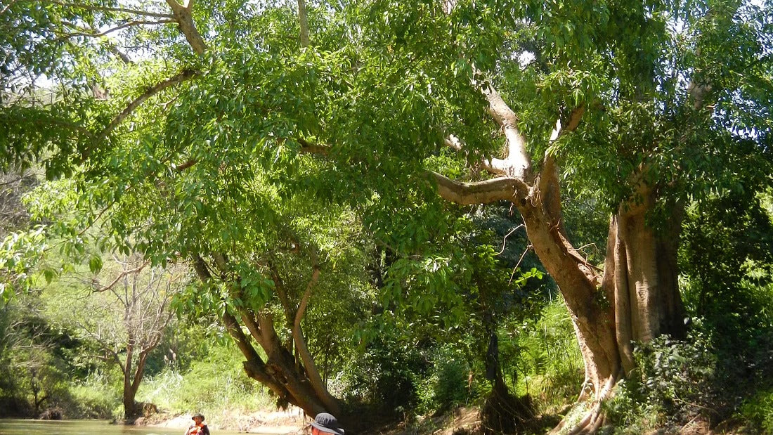 2 Days Mae Ping River Jungle and Valley Adventure "F"   7500฿