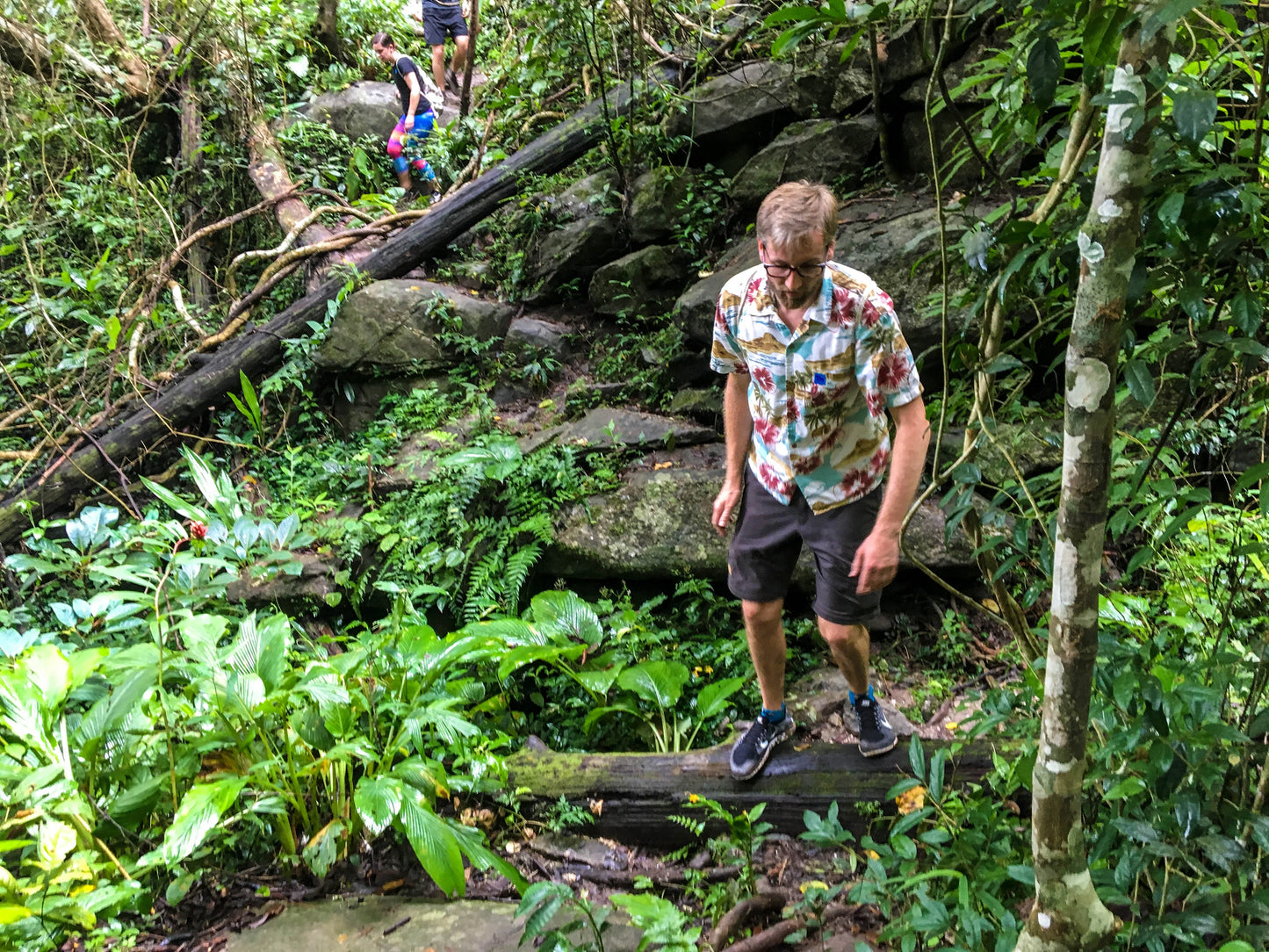 HIKE # T 3 2-DAY HIKE ADVENTURE, DOI SUTHEP 5700฿
