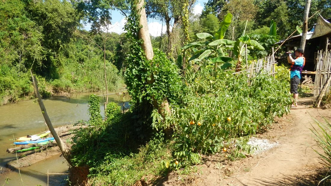 2 Days Mae Ping River Jungle and Valley Adventure "F"   7500฿