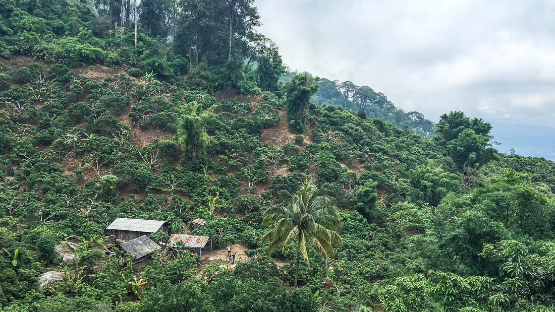Hike & Bike Doi Suthep National Park #Trip "13 A"   2300฿