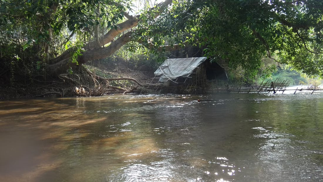 4 Days Mae Chaem River Jungle Adventure "F4" 25000฿