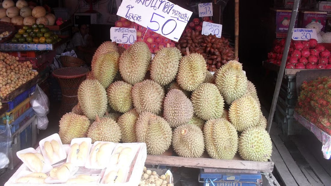 Historical Chiang Mai City Tour "7A"   1550฿