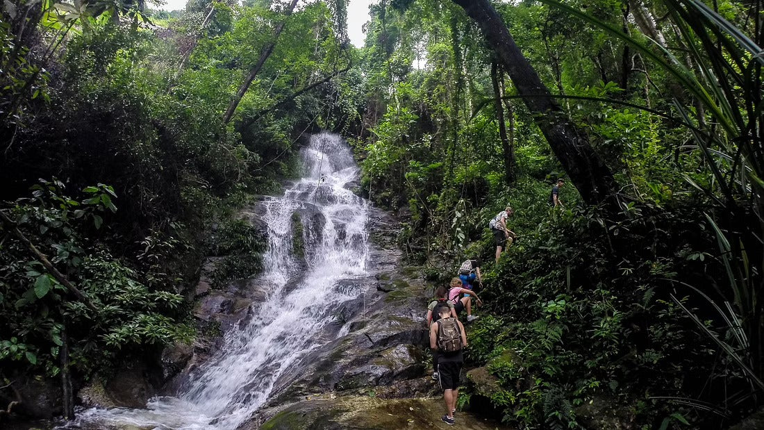 Hike & Bike Doi Suthep National Park #Trip "13 A"   2300฿