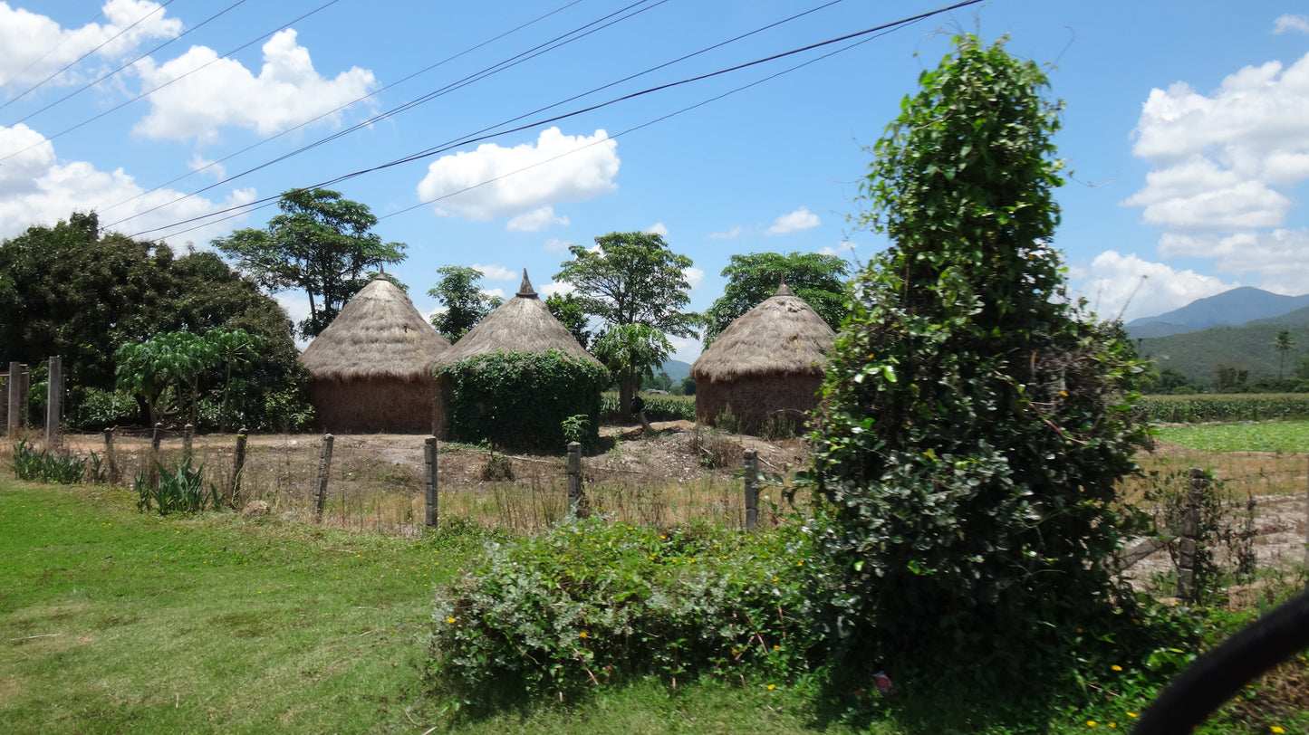 "7X"  Cross Country Leisure biking, Mae Ngat Valley.   1950 ฿