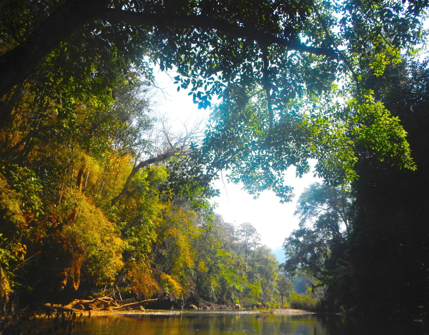 The Mae Taeng Symphony "K2"   4500฿