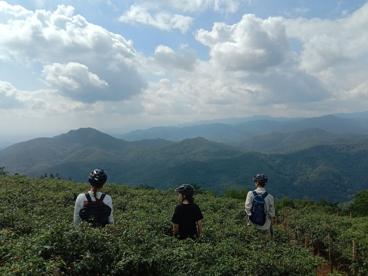 "TAK" TAKKATAN HIKE AND BIKE    2500฿