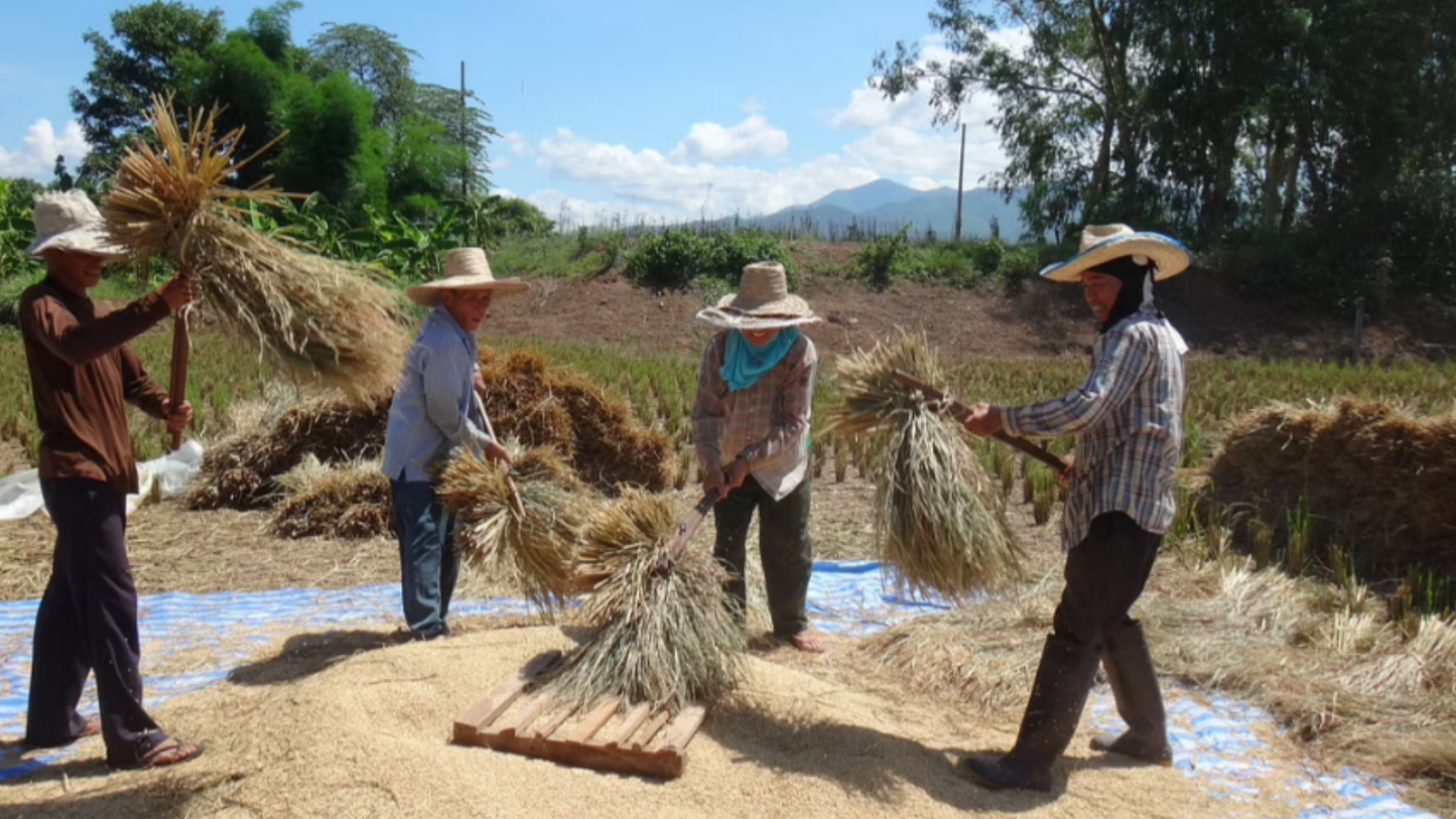 MID Mae Ngat Valley Bike & Kayak Traverse " 20 "    2600฿