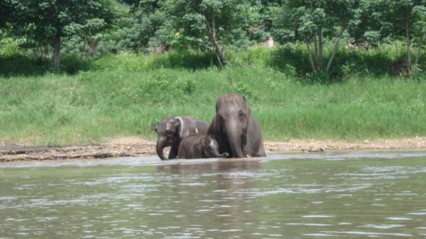 Mae Wang Rock Hopper Jungle Kayaking "E"   2500฿