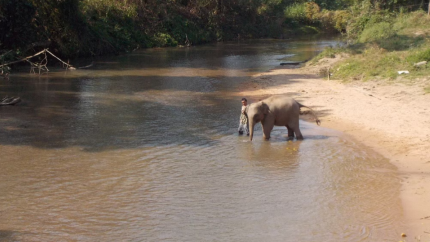 Mae Wang Rock Hopper Jungle Kayaking "E"   2500฿