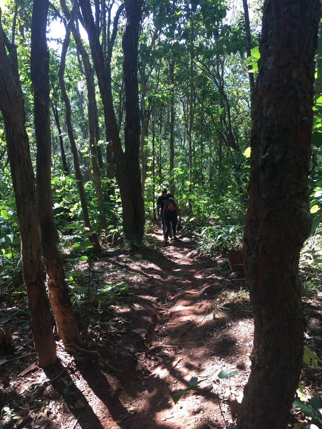 Mon Long Peak Hike & Bike #Trip "13 B"    2600฿