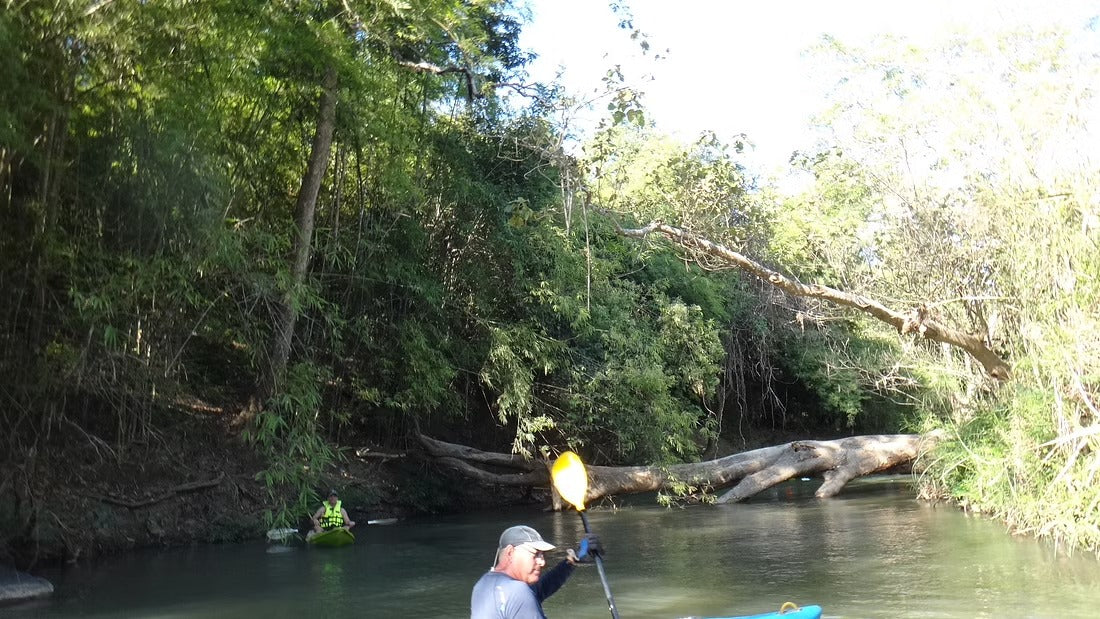 2 Days Mae Ping River Jungle and Valley Adventure "F"   7500฿