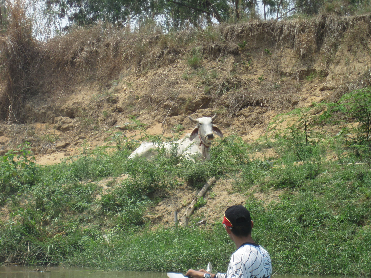 Chiang Mai Long distance River Run "G+"  2300฿