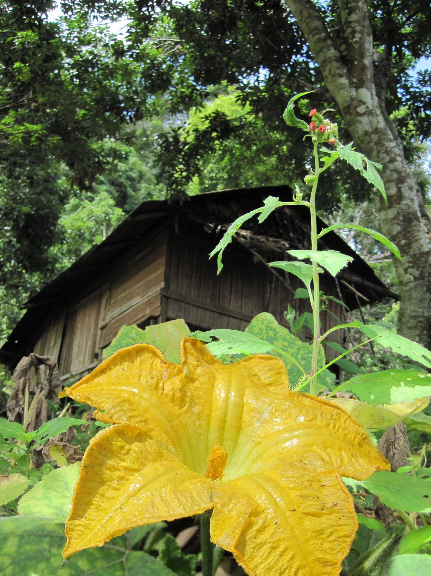 "BIKE 14" 2-Day "Highlanders Route" Doi Suthep National Park.   6500฿