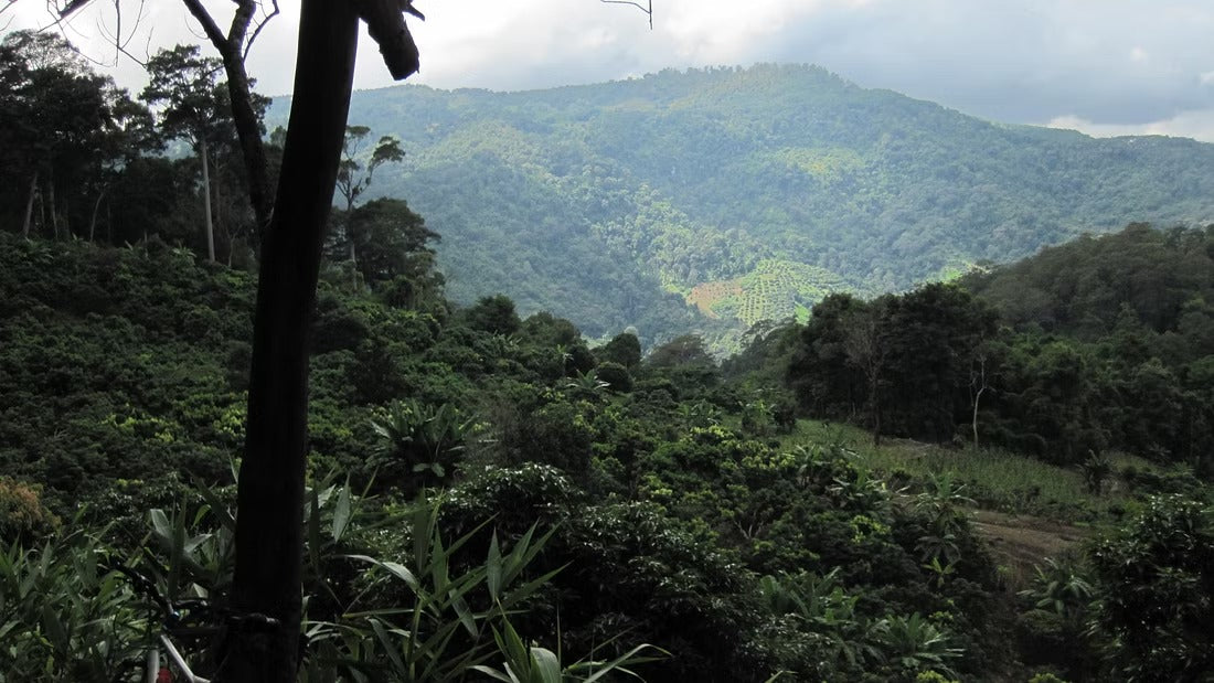 Old Smugglers Route Trip "3" 2100฿