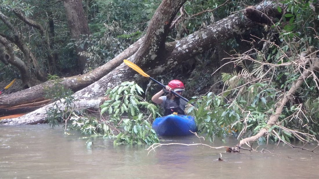 4 Days Mae Chaem River Jungle Adventure "F4" 25000฿